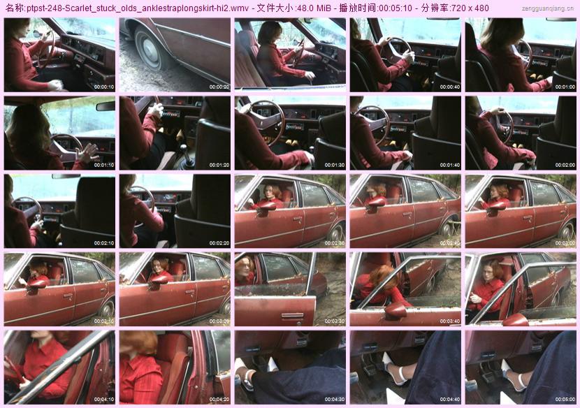 ptpst-248
